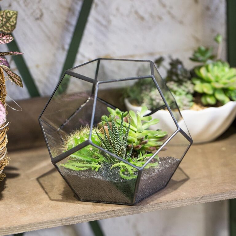 NCYP-Small-Plants-Terrarium-Planter-5.9-Inches-Pentagon-Geometric-Glass-Terrarium-Pot-1-MASTER-1