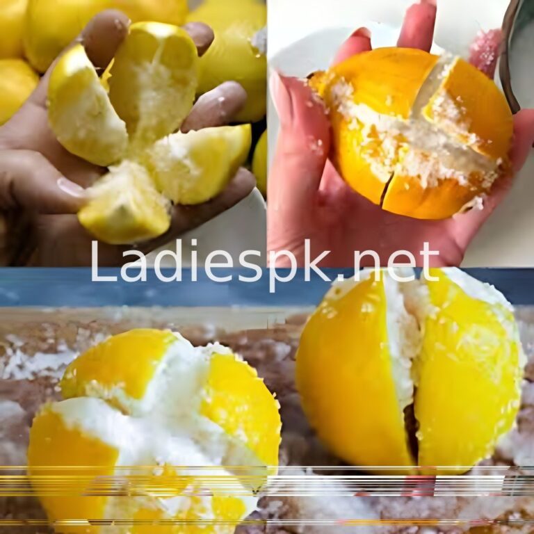 514313856_122183312540290120_8639197912876261921_n